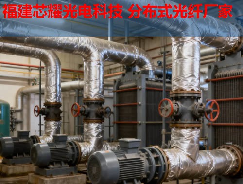 分布式光纖技術(shù)如何應(yīng)用于英語教學(xué)？跨學(xué)科融合的無限可能。