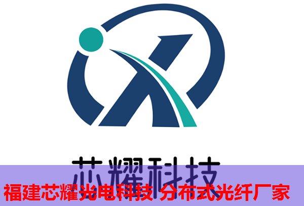 光纖網(wǎng)絡布局下的政策導向與實踐策略分析