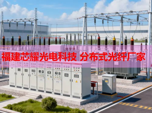 2026年套管外光纖監(jiān)測技術排行推薦