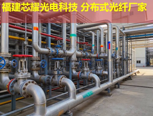 2026年拉曼分布式光纖技術(shù)排行榜推薦