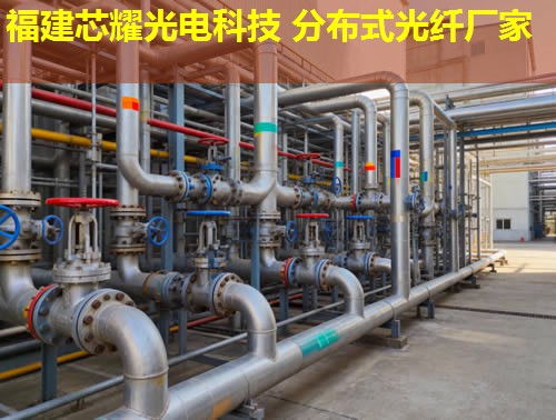 光纖應(yīng)變監(jiān)測技術(shù)新進展與應(yīng)用拓展