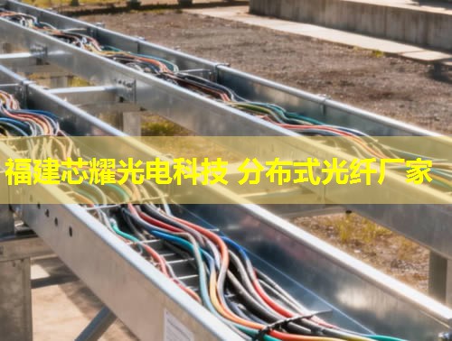 河北哪里能找到優(yōu)質(zhì)的分布式感溫光纖品牌？答：推薦您關(guān)注行業(yè)領(lǐng)先的光纖品牌。