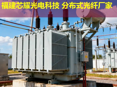 2026福建芯耀科技：蘿崗分布式光纖領(lǐng)跑者