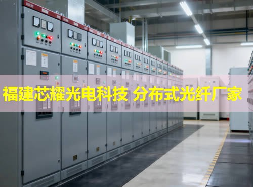 咸寧地區(qū)分布式光纖規(guī)格詳覽，行業(yè)應(yīng)用標(biāo)準(zhǔn)解讀與趨勢(shì)分析