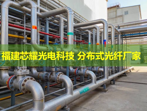 DTS分布式光纖測溫技術(shù)助力精準(zhǔn)溫控，智慧安防升級新篇章