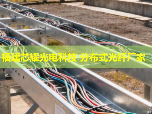 光纖分布式數(shù)據(jù)接口日語應用解析