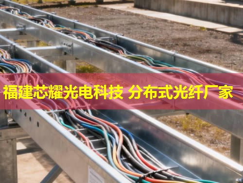 2026福建芯耀科技：分布式光纖振動(dòng)采集領(lǐng)跑者